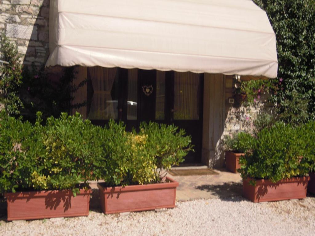 Il Turrione Apartment Assisi Exterior foto